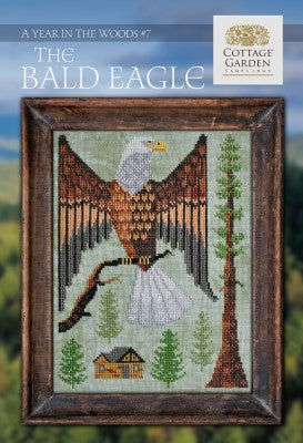 Bald Eagle by Vinniey P.S. Tan