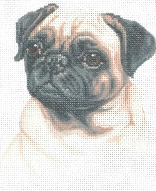 Pug