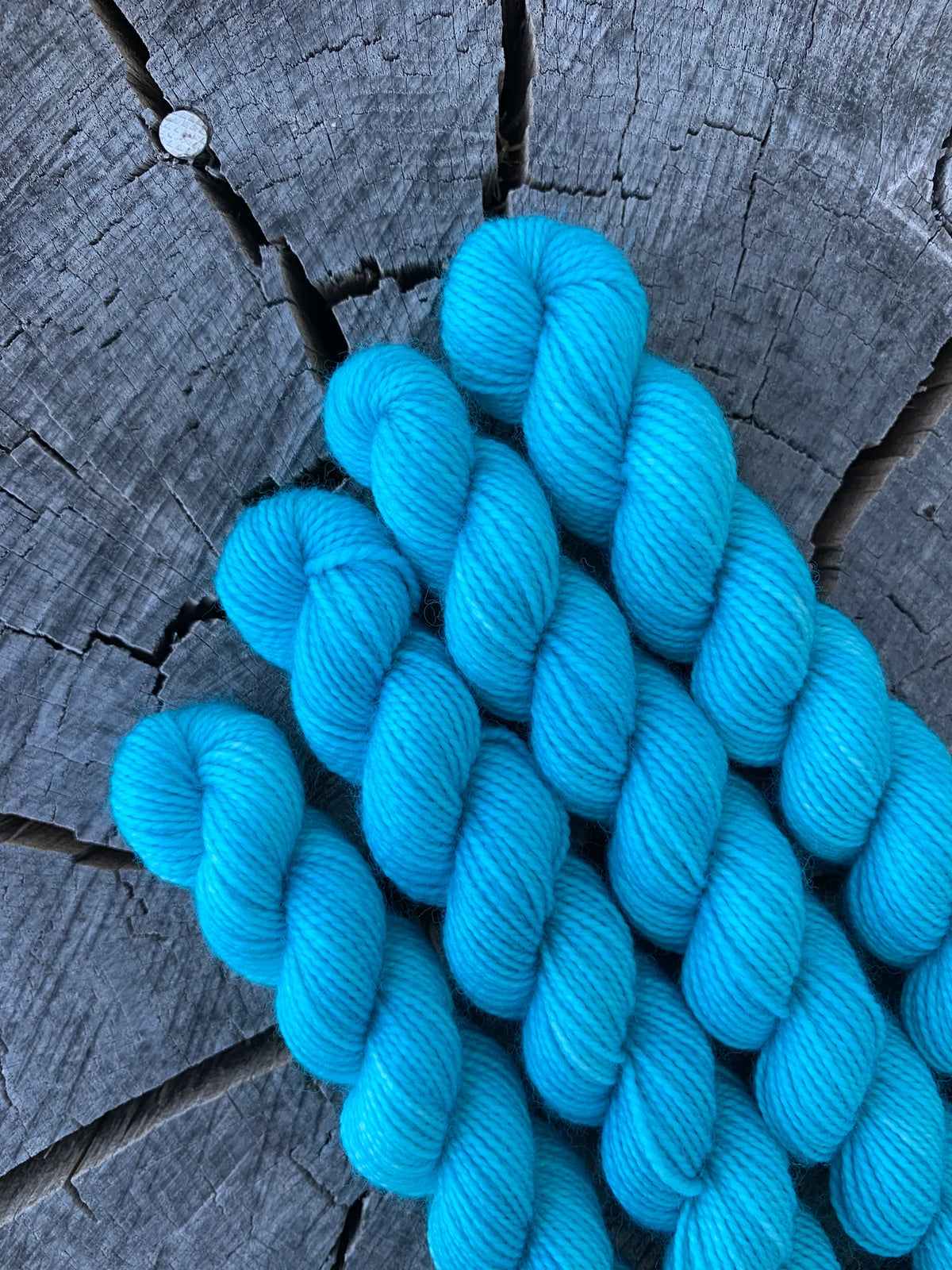 Paul - Mini Skein