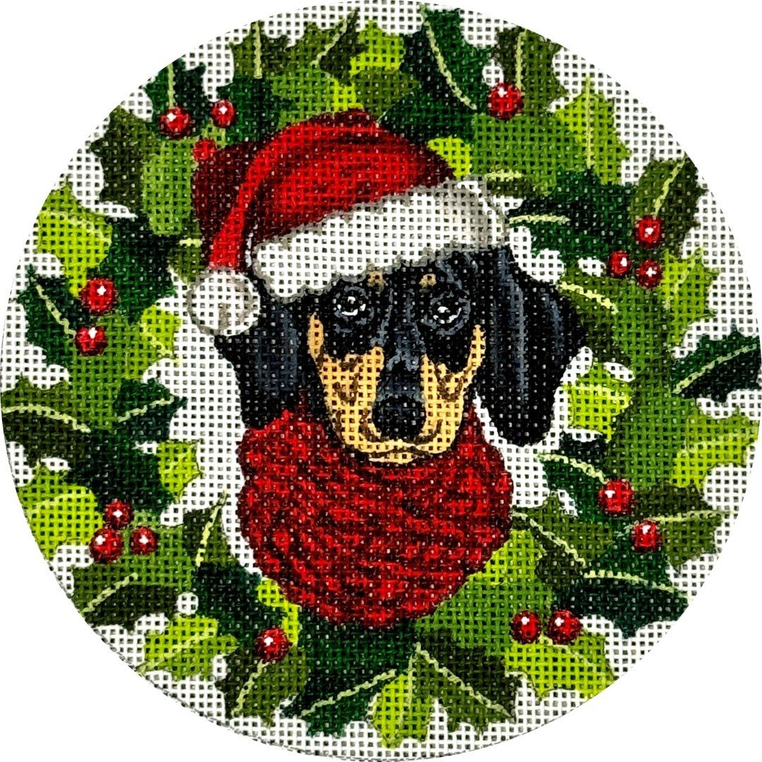 Dachschund #317