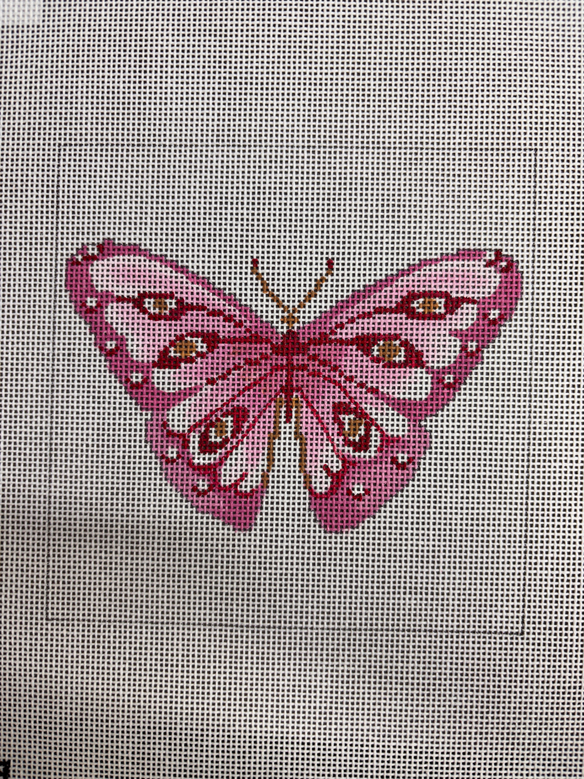 Pink Butterfly