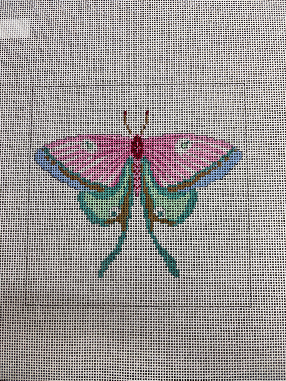 Pink & Teal Butterfly