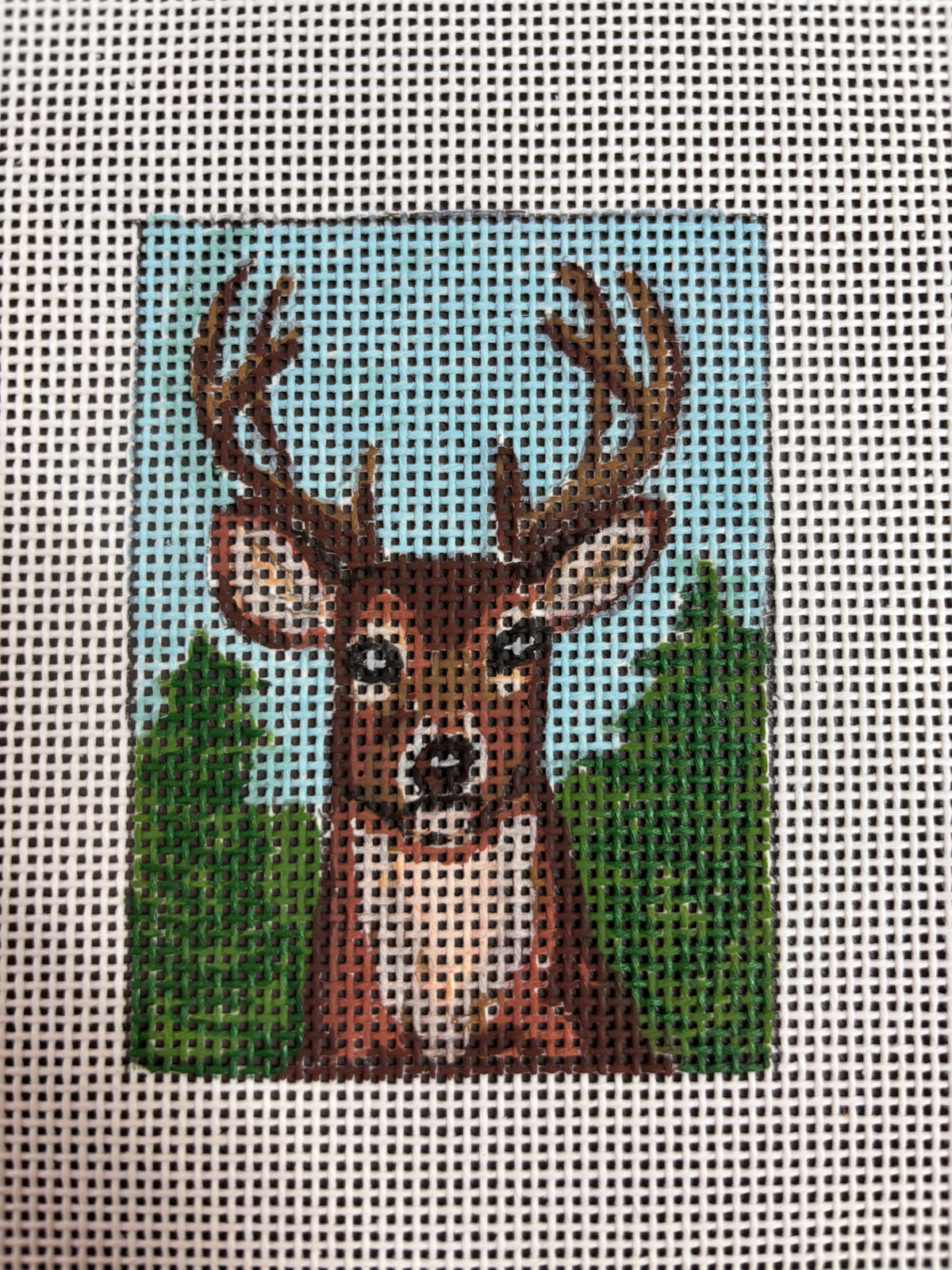 Deer