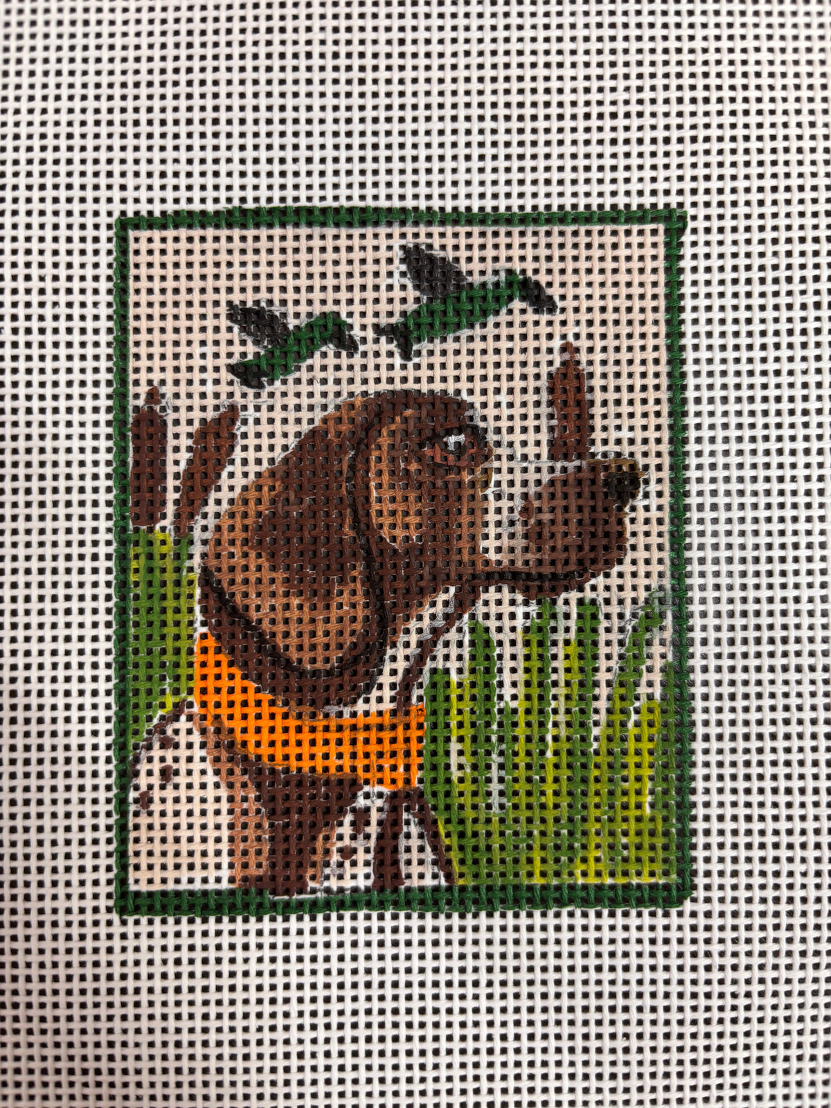 Hunting Dog