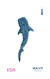 Cordelia the Whale Shark