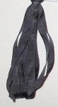 Dinky-Dyes: SR-4MM-130 Black Coral