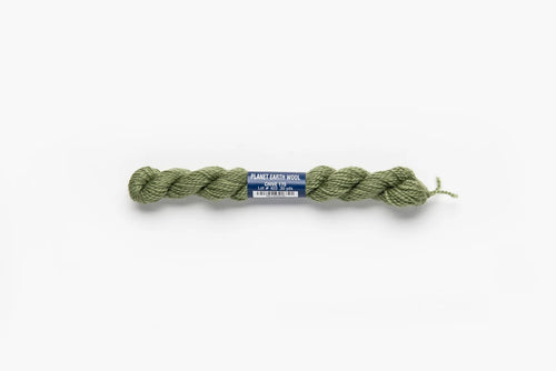 Planet Earth Merino Wool Chive 175