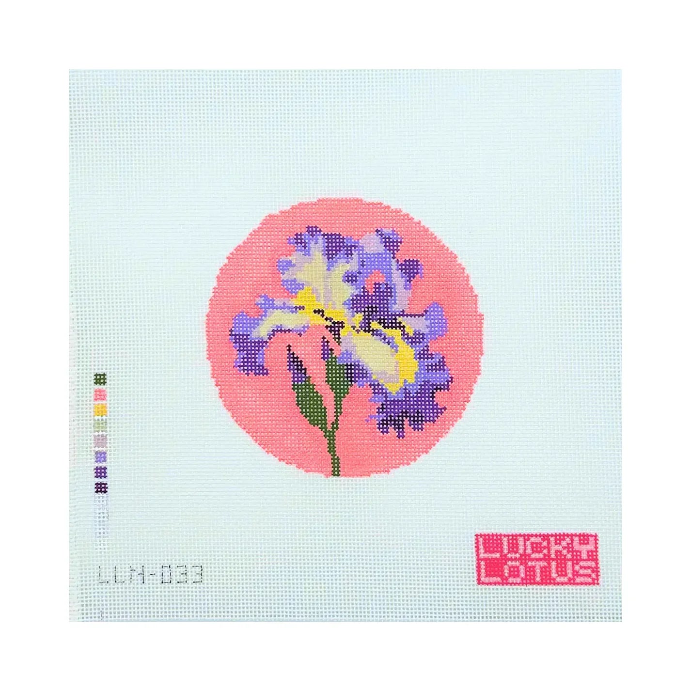 Iris (Tennessee) | Flowers of America