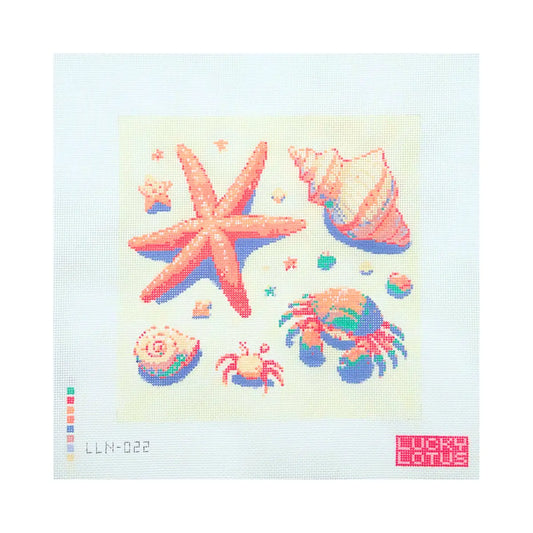 Seashells and Crabs