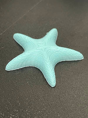 Starfish Needle Minder