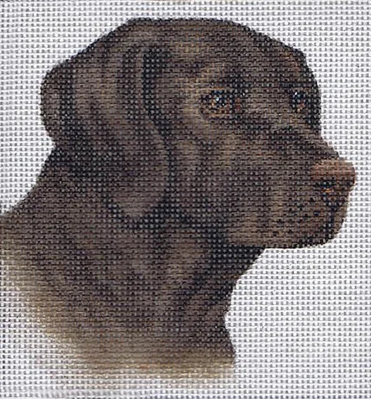 Chocolate Lab