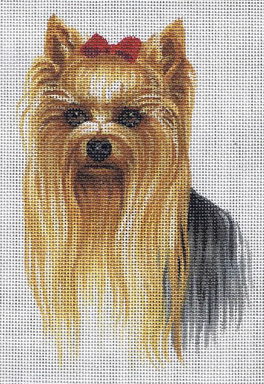 Yorkie
