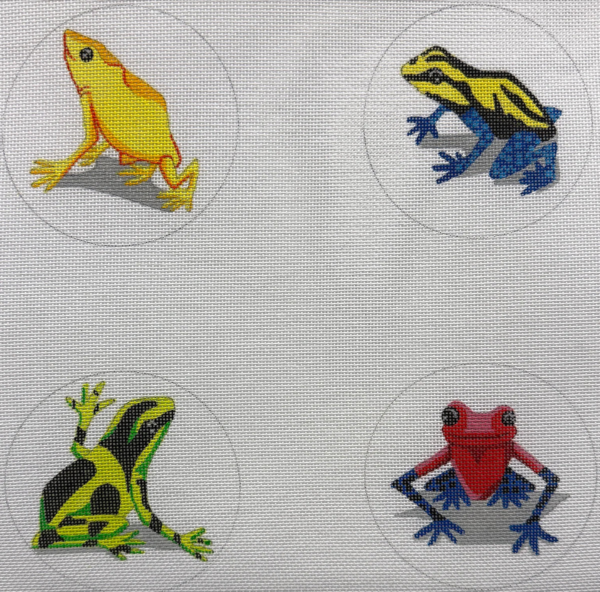 Tree Frog Coaster Set
