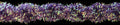 Threadworx Chenille Purple Shimmer C3155