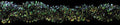 Threadworx Chenille Seaweed C3180