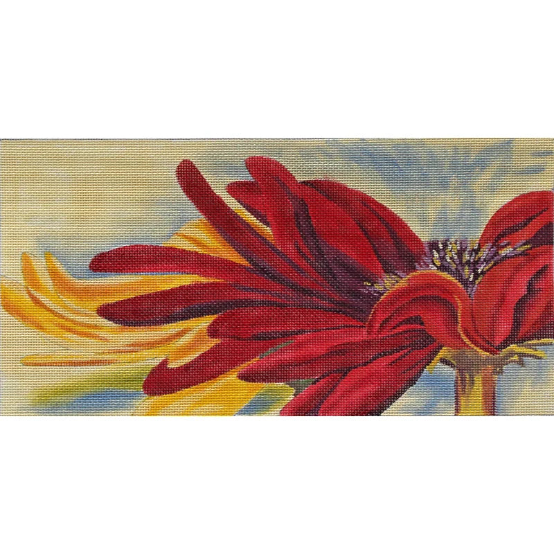 Crimson Daisy