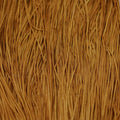 Silk Road Fibers Soie Tissée Golden Pecan T-0261