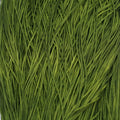 Silk Road Fibers Soie Tissée Ante Up T-0410