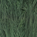 Silk Road Fibers Soie Tissée Loden T-0485