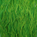 Silk Road Fibers Soie Tissée Irish Eyes T-0450