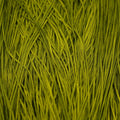 Silk Road Fibers Soie Tissée Ogre T-0490