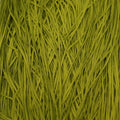 Silk Road Fibers Soie Tissée Katy-did T-0460