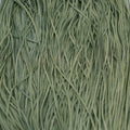 Silk Road Fibers Soie Tissée Sage Shadow T-0493