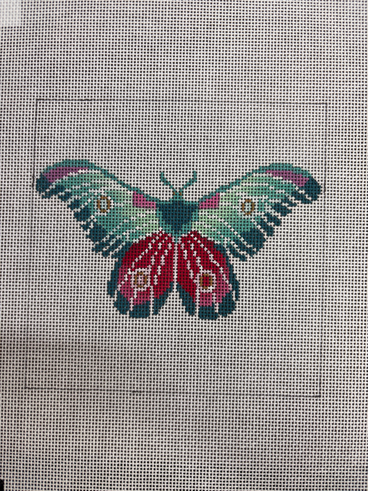 Teal Butterfly