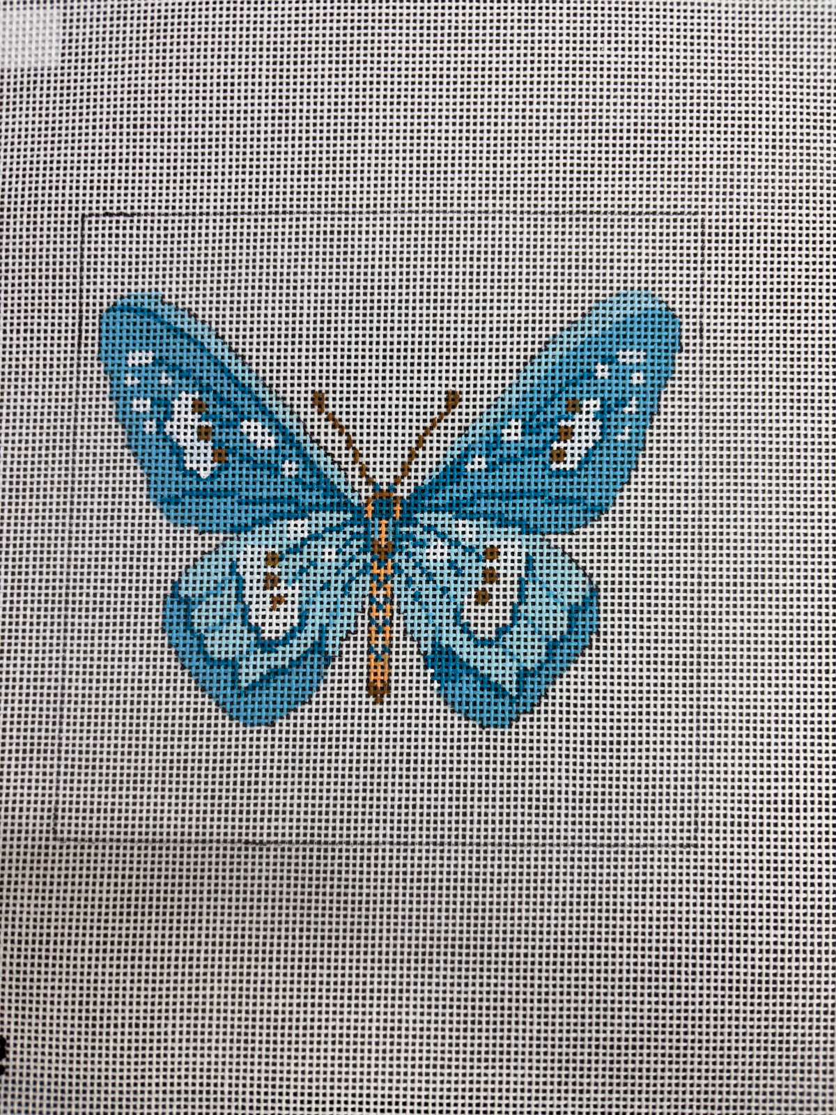 Blue Butterfly