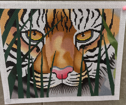 A Tiger Awaits