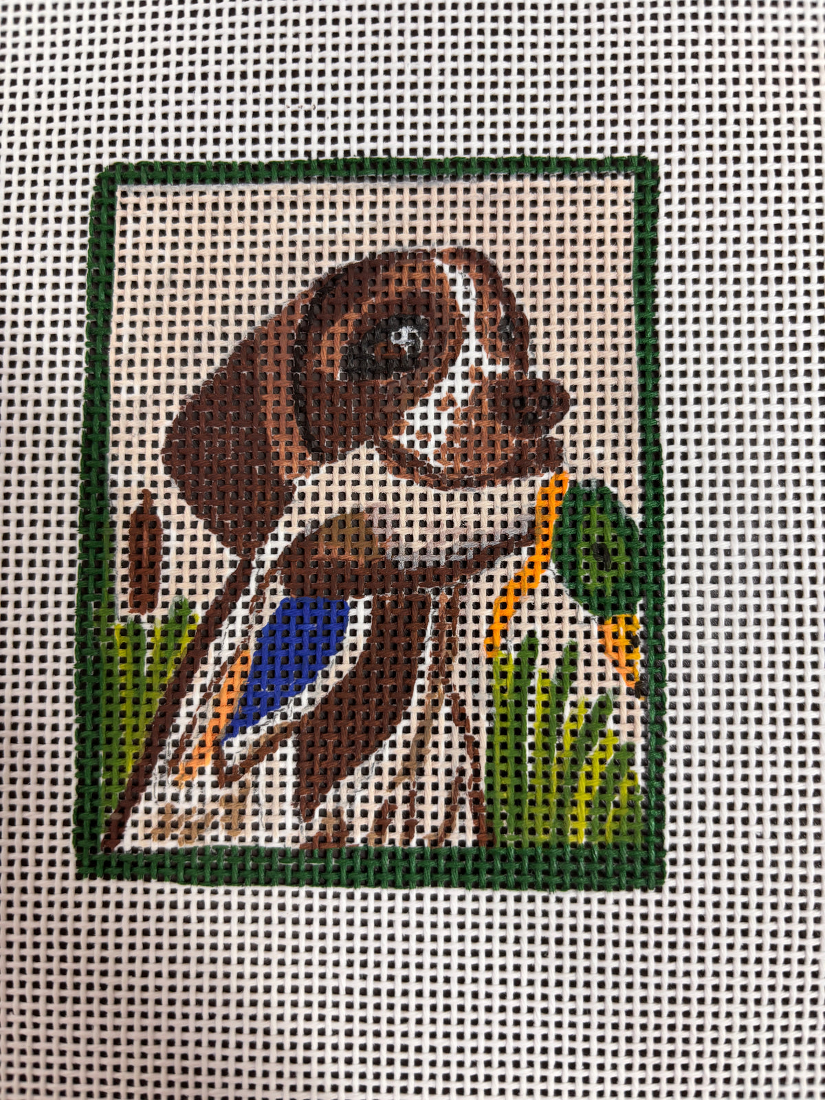 Hunting Dog With Duck