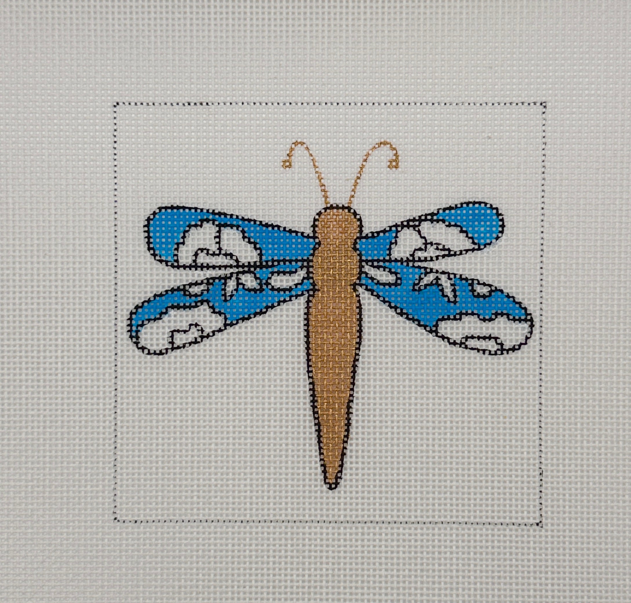 Blue and Gold Dragonfly
