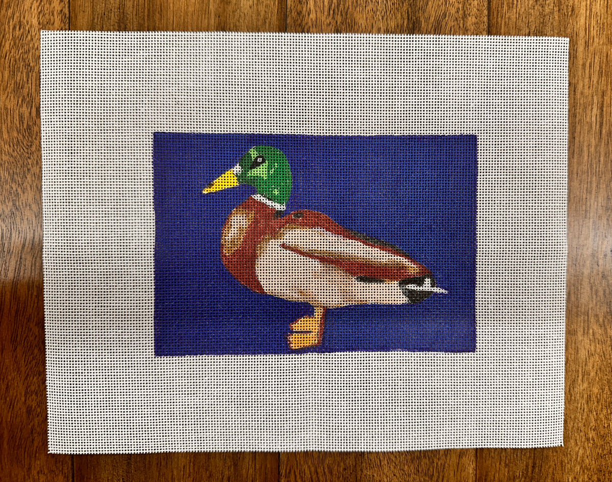 Mallard Rectangle with blue back ground by Lee Sentell