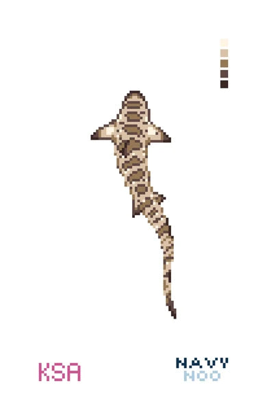 Lainey the Leopard Shark
