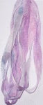 Dinky-Dyes 4 mm Ribbon: SR-4MM-007 Mother of Pearl