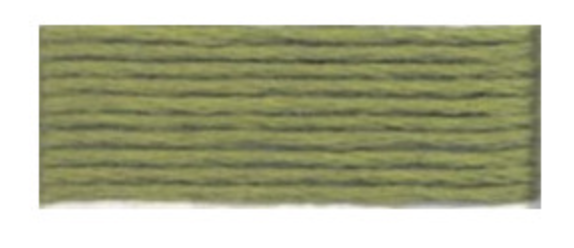 Mouliné Spécial 25 Artichoke 3052