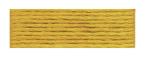 Mouliné Spécial 25 Goldenrod 3852