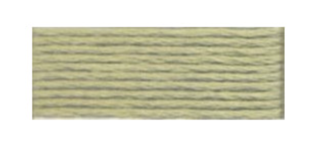 Mouliné Spécial 25 Light Silver Green 524