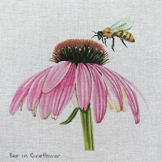 Bee On Coneflower
