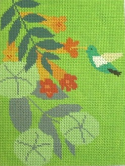 Colibri