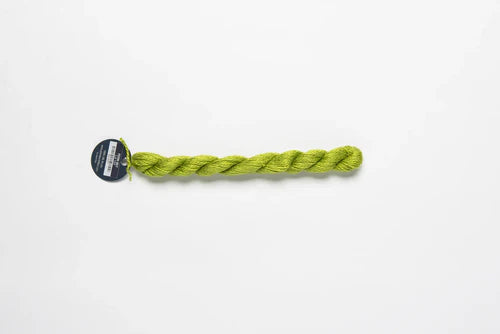 Planet Earth Silk Fern 057