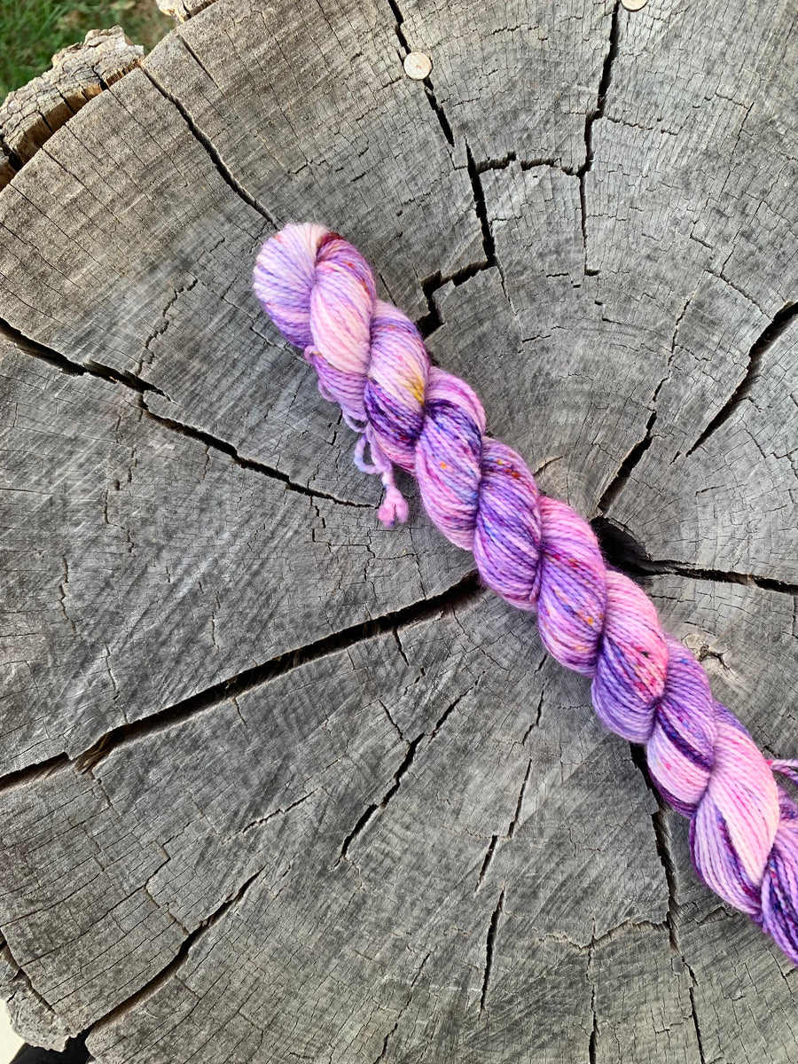 Paisley Park - Mini Skein
